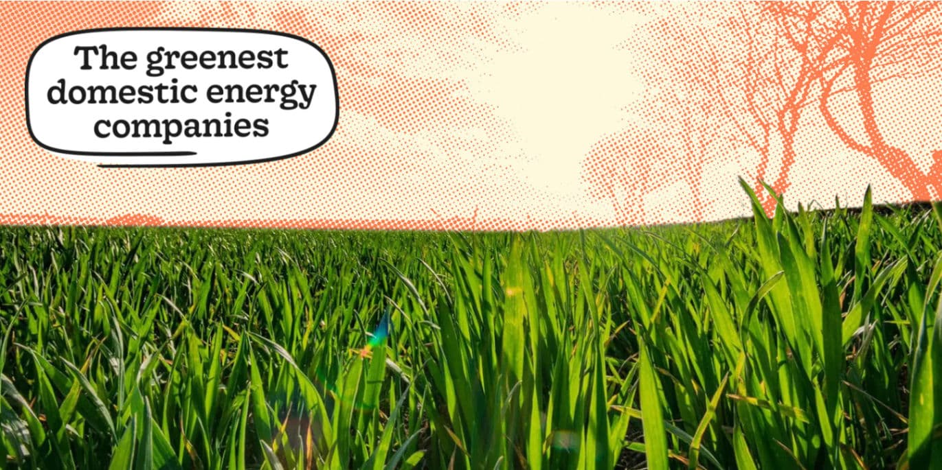 Greenest Energy Suppliers in the UK 