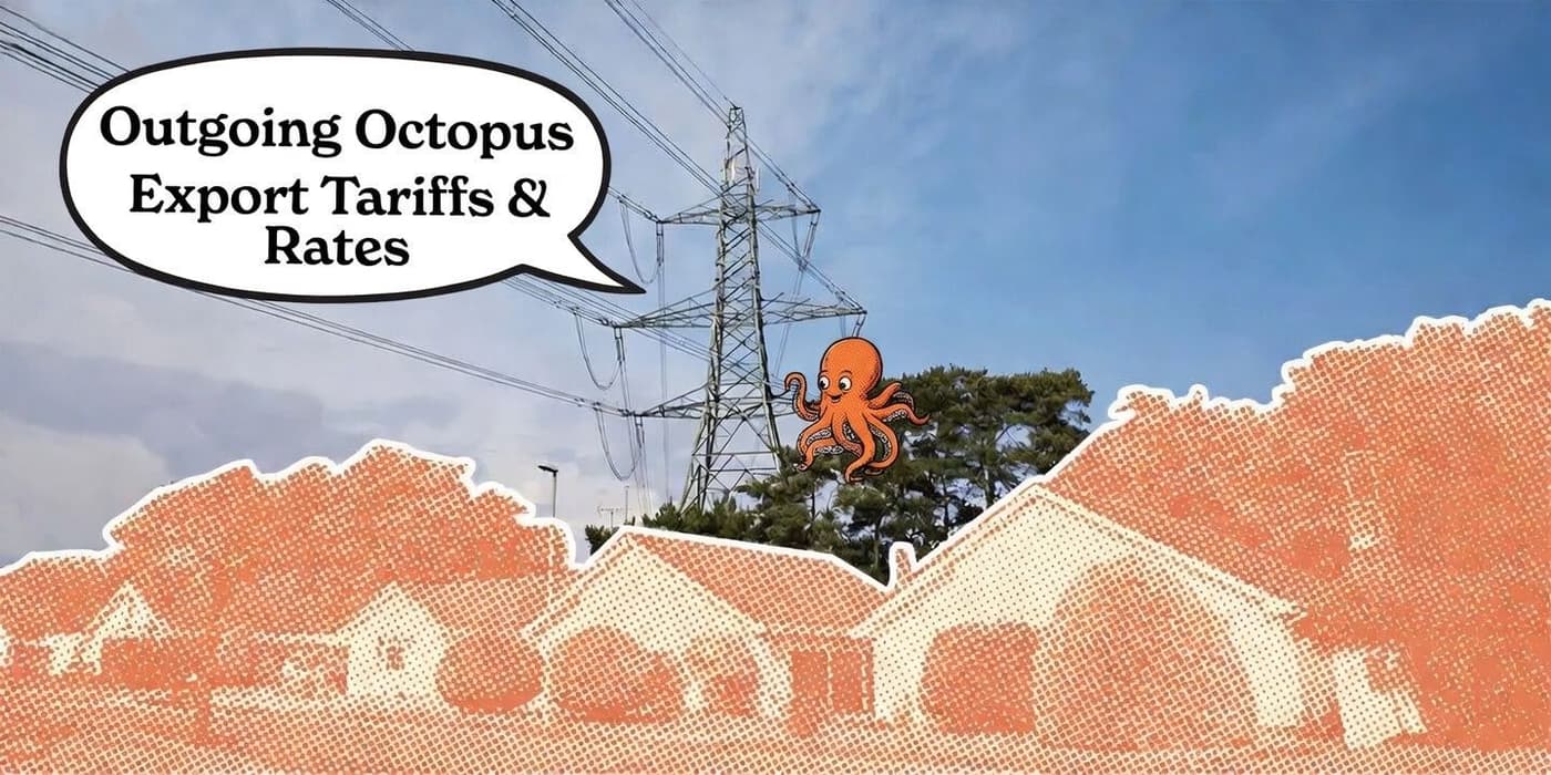 Outgoing Octopus: Export Tariffs, Rates & Is It Worth It?
