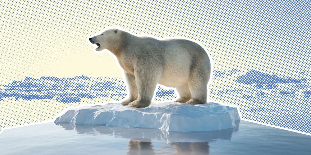 Countries Most Likely to Survive Climate Change